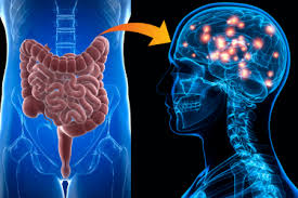 what is the best supplement for brain health